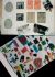 1_384.jpg