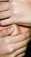 1_775.jpg