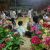 Training Programme,Library.5.jpg