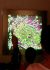 Whispers Educational programme 9.jpg